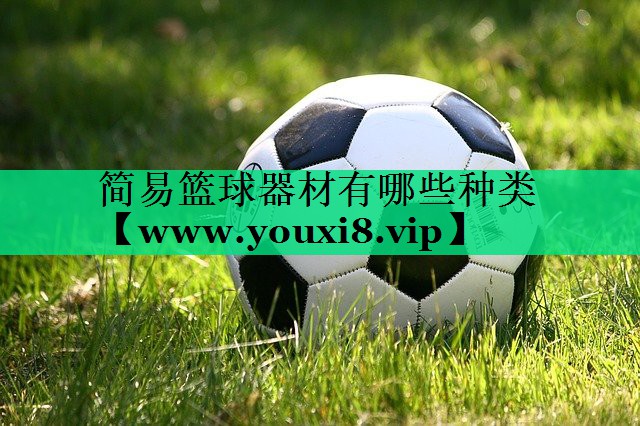 简易篮球器材有哪些种类 简易篮球器材有哪些种类