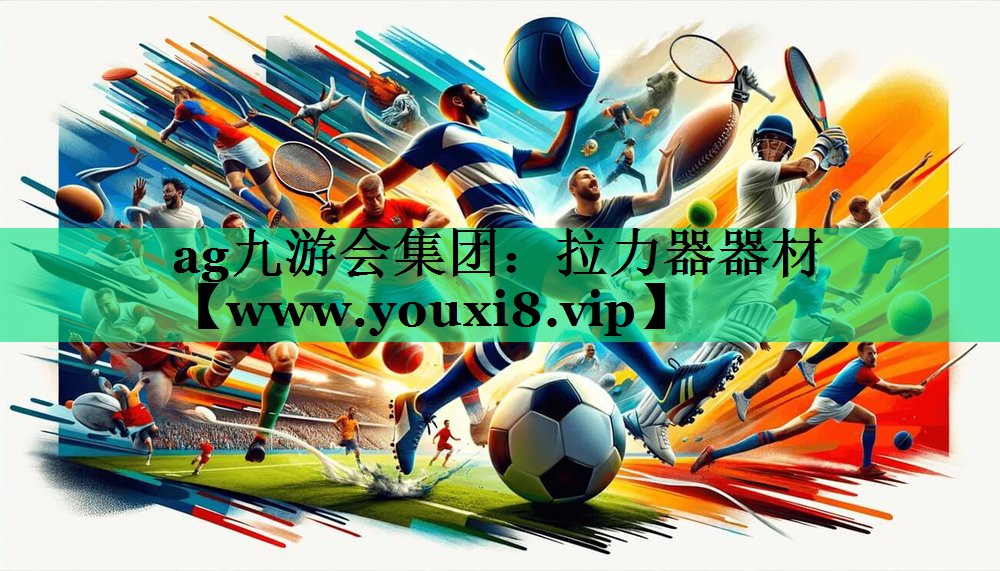 拉力器器材 拉力器器材