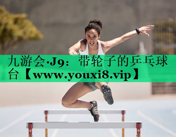 带轮子的乒乓球台 带轮子的乒乓球台