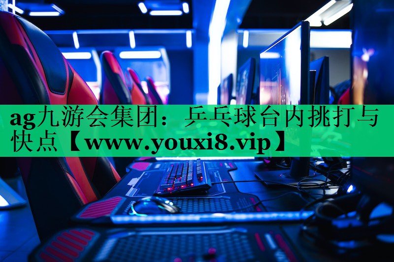 乒乓球台内挑打与快点 乒乓球台内挑打与快点