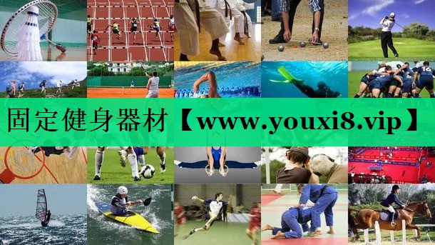 固定健身器材 固定健身器材