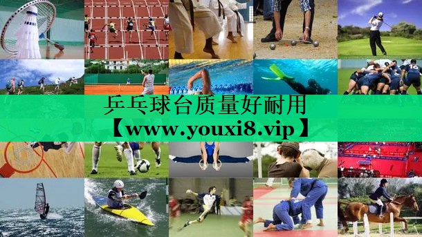 乒乓球台质量好耐用 乒乓球台质量好耐用