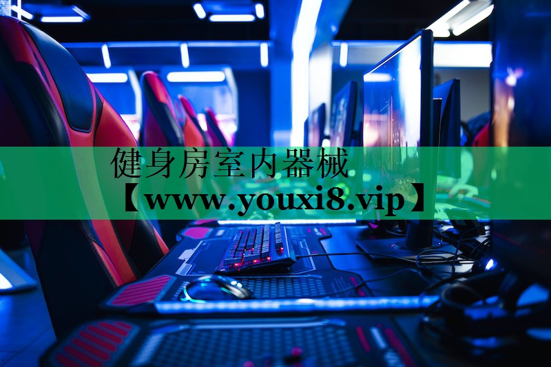 健身房室内器械 健身房室内器械