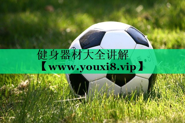 健身器材大全讲解 健身器材大全讲解