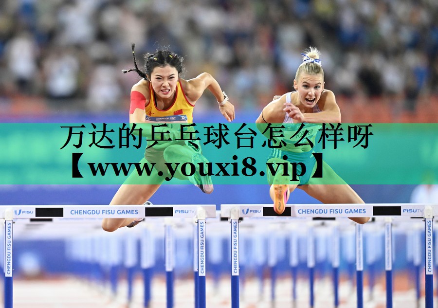 万达的乒乓球台怎么样呀 万达的乒乓球台怎么样呀