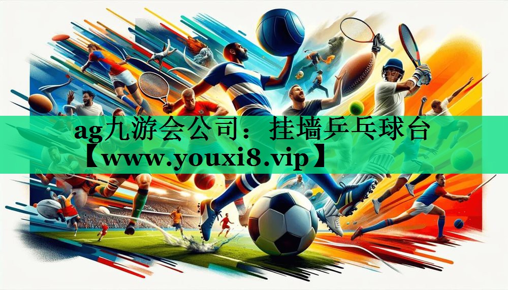 挂墙乒乓球台 挂墙乒乓球台