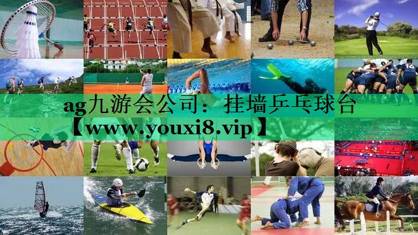 挂墙乒乓球台 挂墙乒乓球台