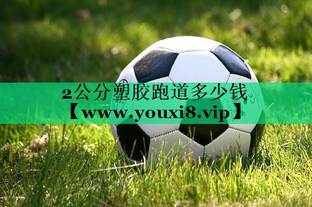 2公分塑胶跑道多少钱 2公分塑胶跑道多少钱